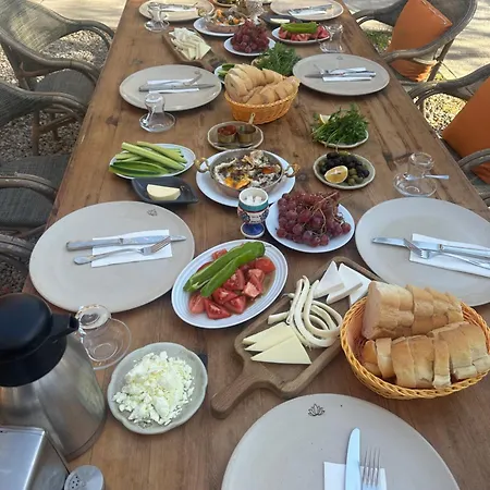فندق Mavi Lotus & Restorant Yaka (Mugla)