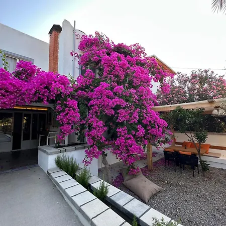 فندق Mavi Lotus & Restorant Yaka (Mugla)
